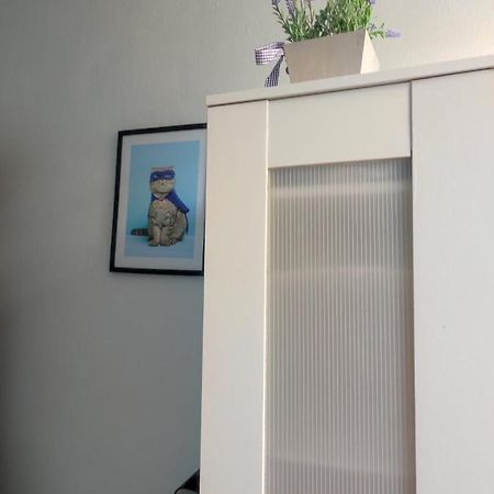 Single Room No.4 In The Very Center Of وارسو المظهر الخارجي الصورة