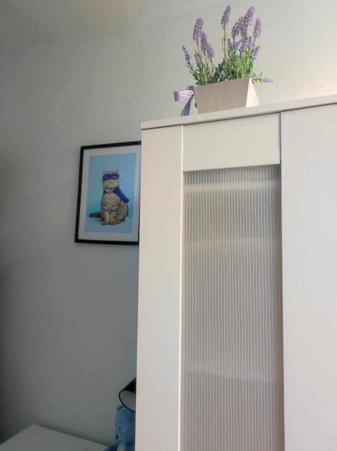 Single Room No.4 In The Very Center Of وارسو المظهر الخارجي الصورة